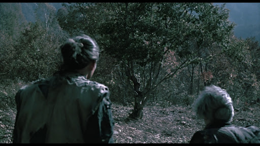 La ballade de Narayama CinéVerse