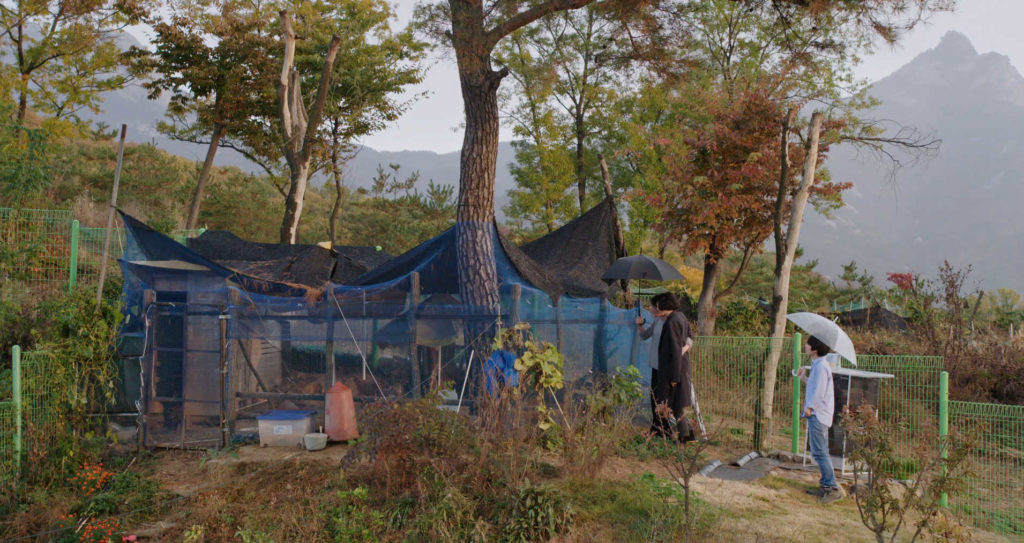 La Femme Qui S'Est Enfuie
