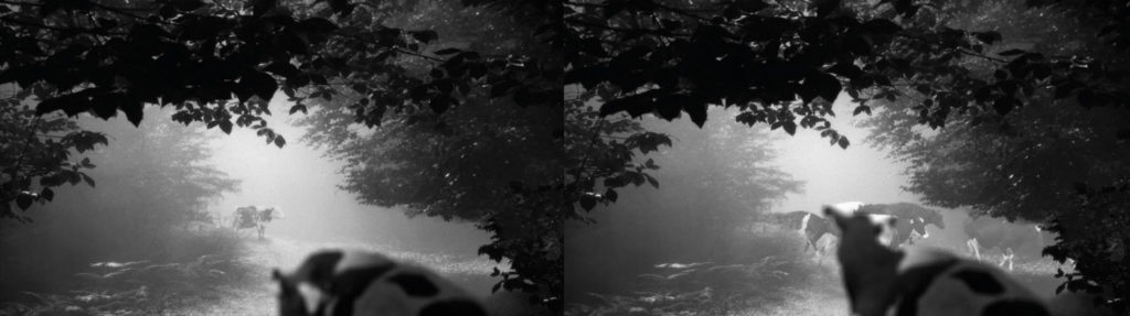 24 Frames