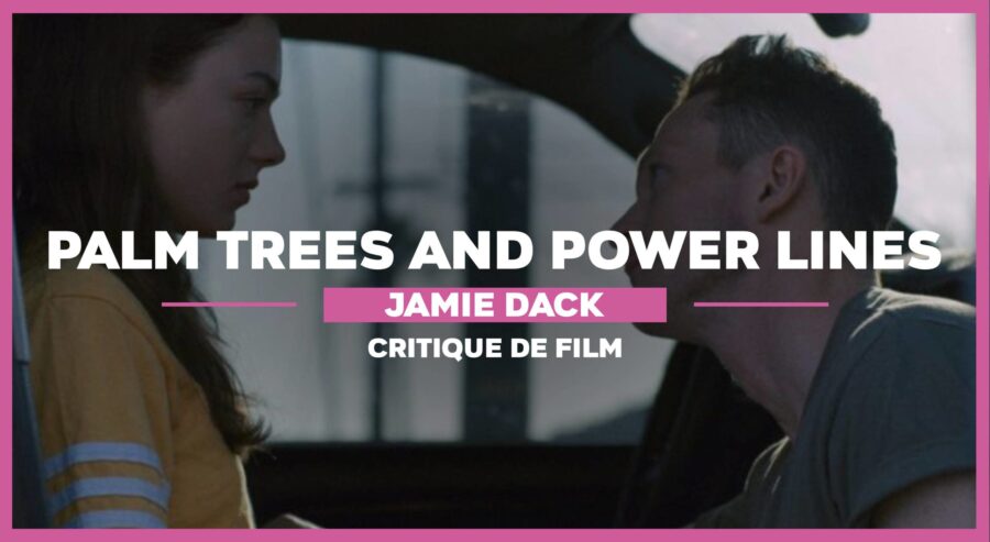 palm trees and power lines jamie dack