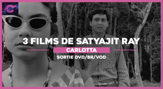 coffret dvd carlotta