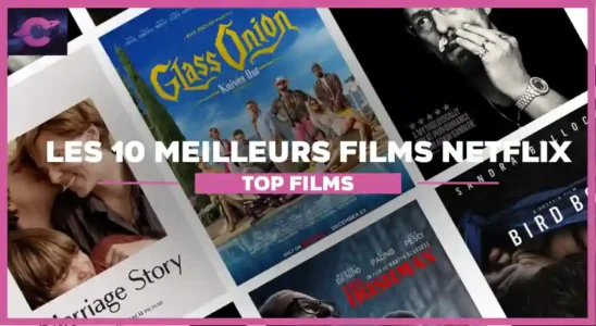 netflix glass onion the irishman uncut gems bird box marriage story