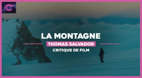 Pierre dans un désert de neige